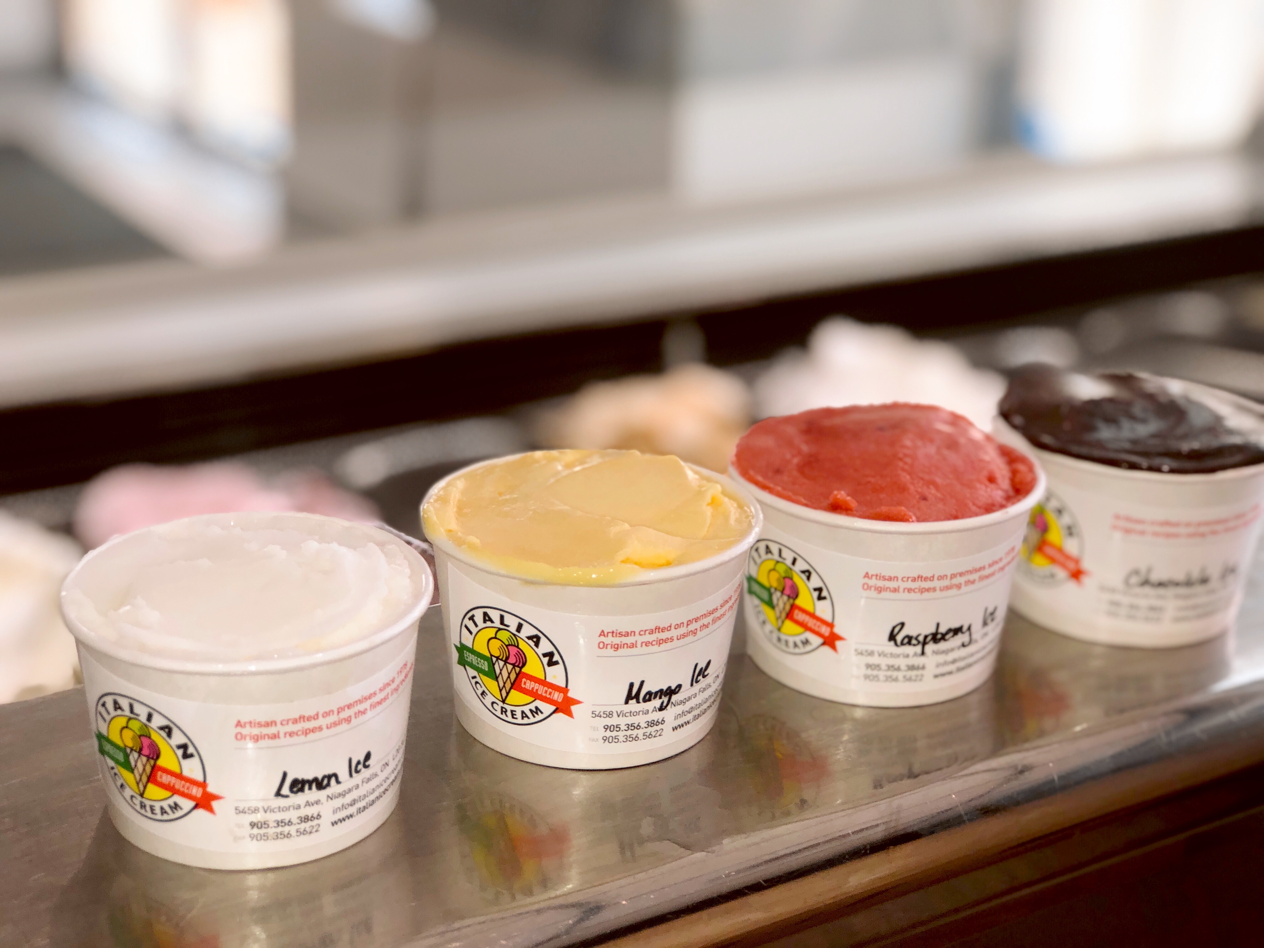 Gelato Take Home Containers